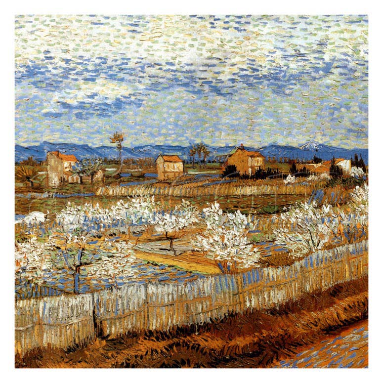 La Plaine De La Crau Avec Puchers En Fleurs - Van Gogh Painting On Canvas